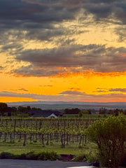 Post Harvest Estate Party